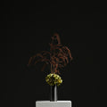 Dora Tower Vase 23 Metal Black