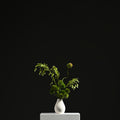 Emma Drop Vase 15 Bone White