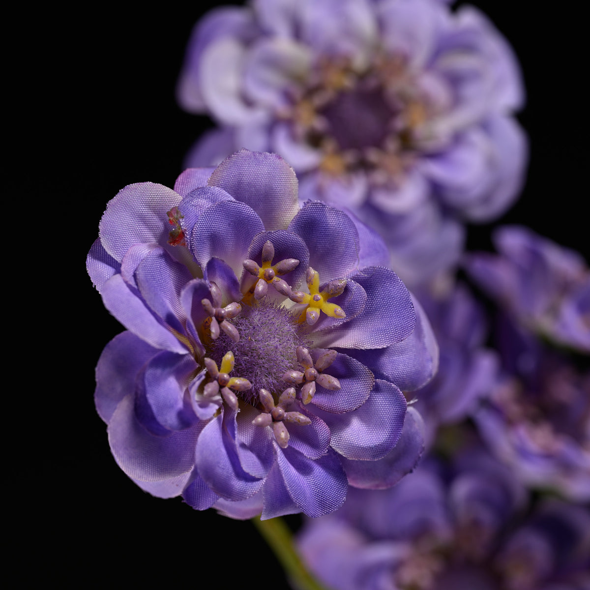 Lia Bottle Vase 15 Lavender