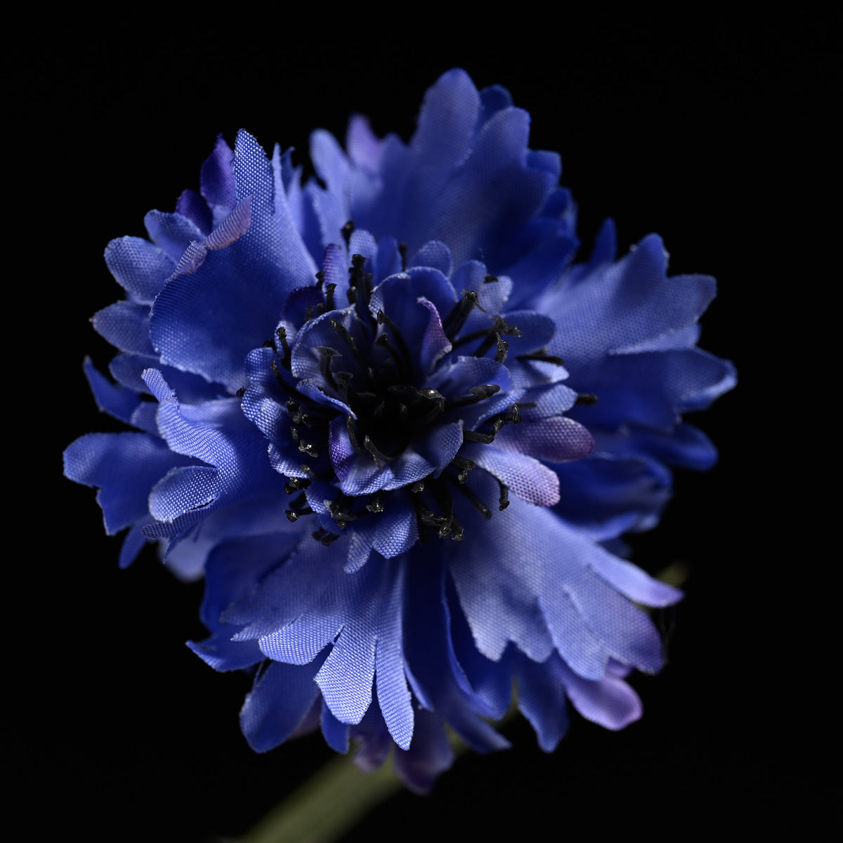 Margherita Bottle Vase 15 Blue